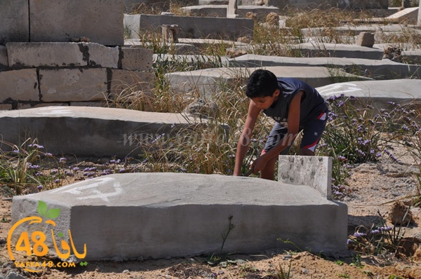 kashaf nady kazakhana3 (32).JPG